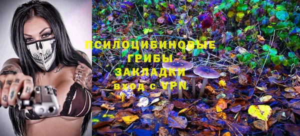 прущая мука Верхний Тагил